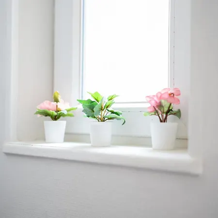 Vicheia - 24 דירה וישי